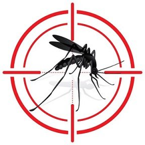 Intervento di disinfestazione per il contenimento delle zanzare adulte