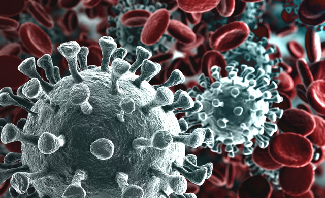 CORONAVIRUS - comunicato n. 2