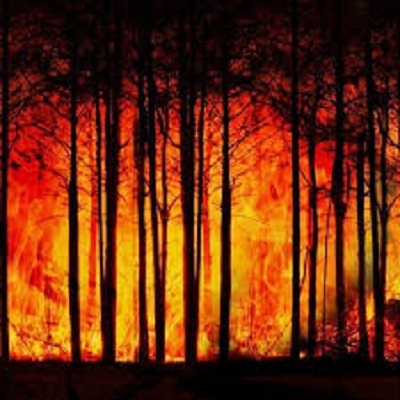 Dichiarazione periodo ad alto rischio di incendio boschivo per la stagione invernale e primaverile 2021