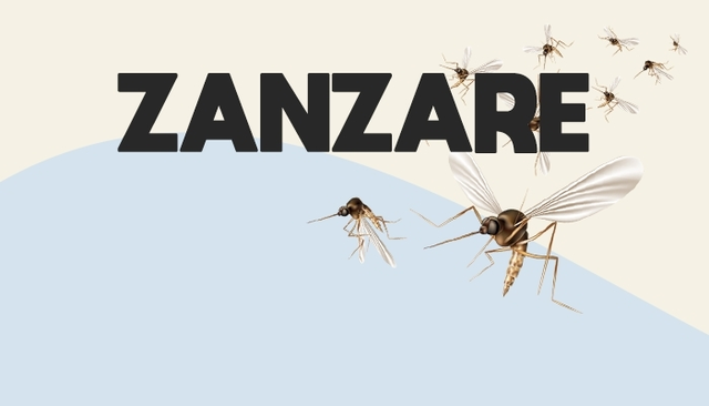 Zanzare: Un opuscolo per aiutarci a riconoscerle, prevenirne la diffusione e proteggerci