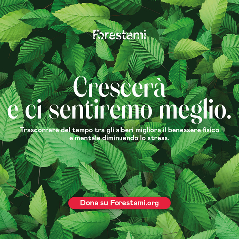 Con il progetto Forestami a Melzo sono iniziate le prime piantumazione del bosco urbano